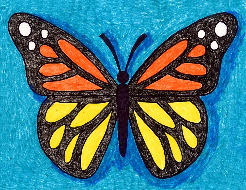 Butterfly drawing