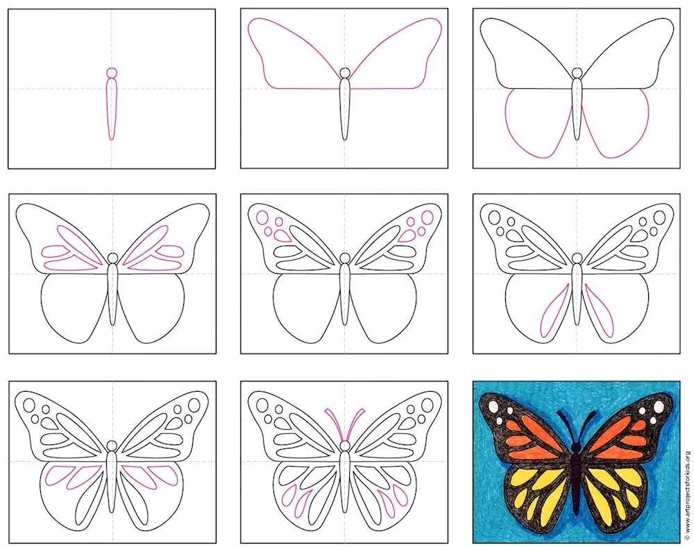 Butterfly pencil drawing