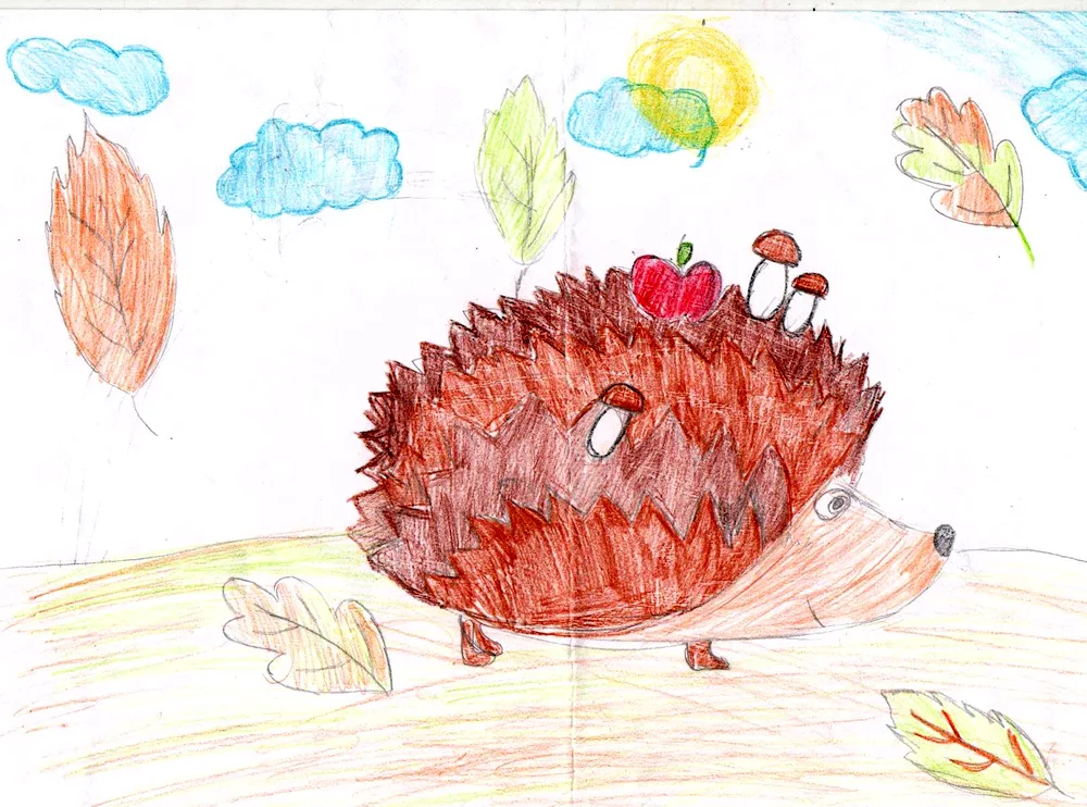 Hedgehog outline