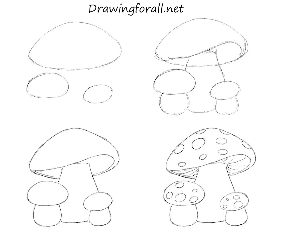 Mushroom colouring