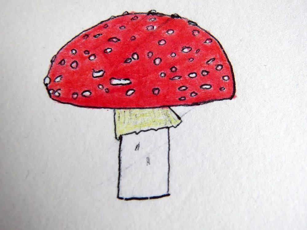 Fly mushroom drawing