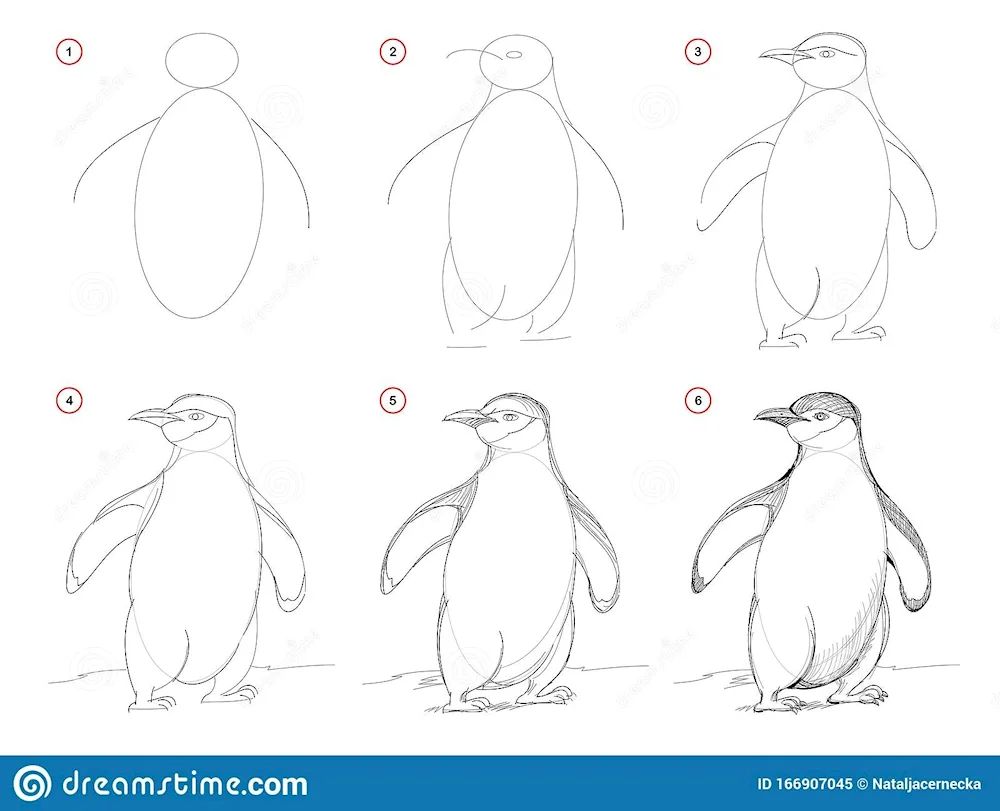 Penguin drawing