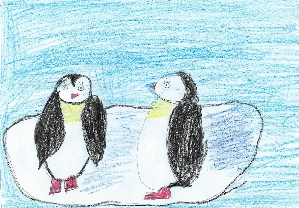 Penguin pictures for drawing