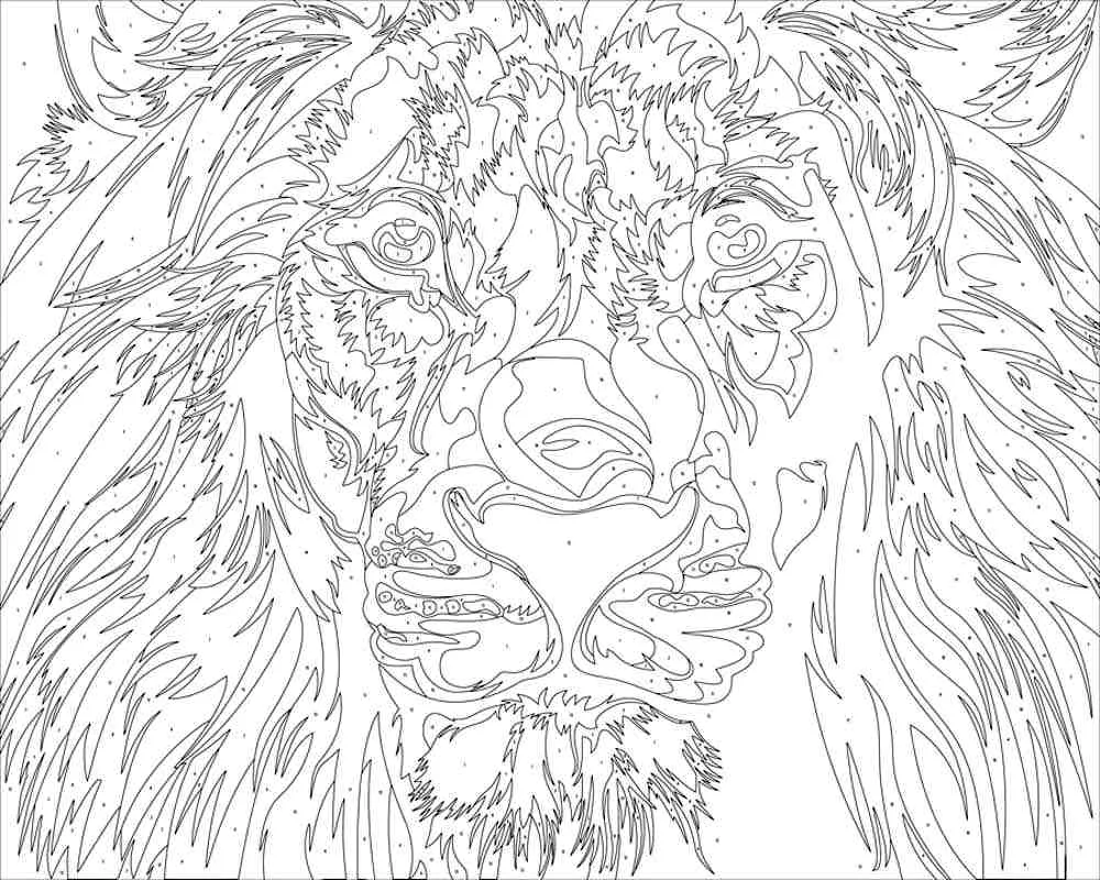 Adult colouring pages