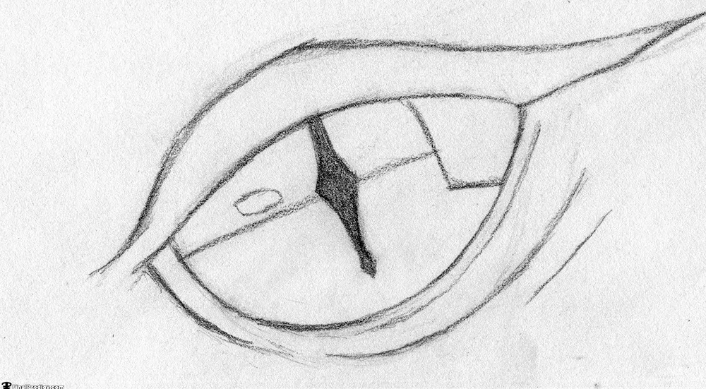Easy Drawings for Sketching