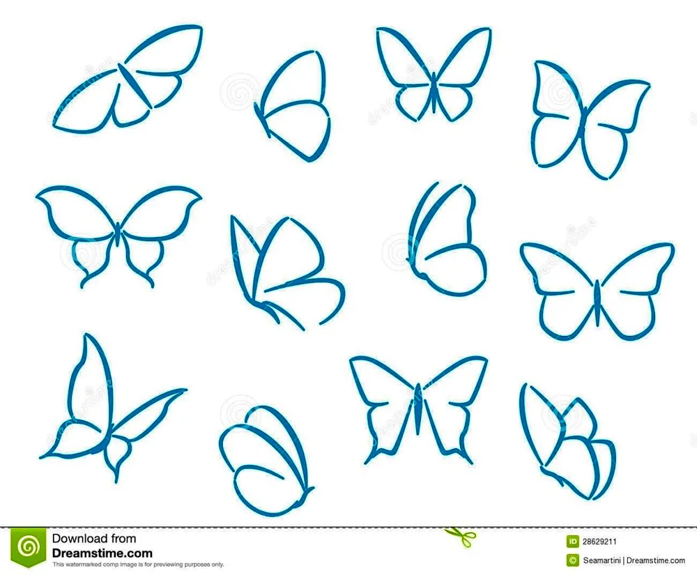 Drawing butterflies for drawing