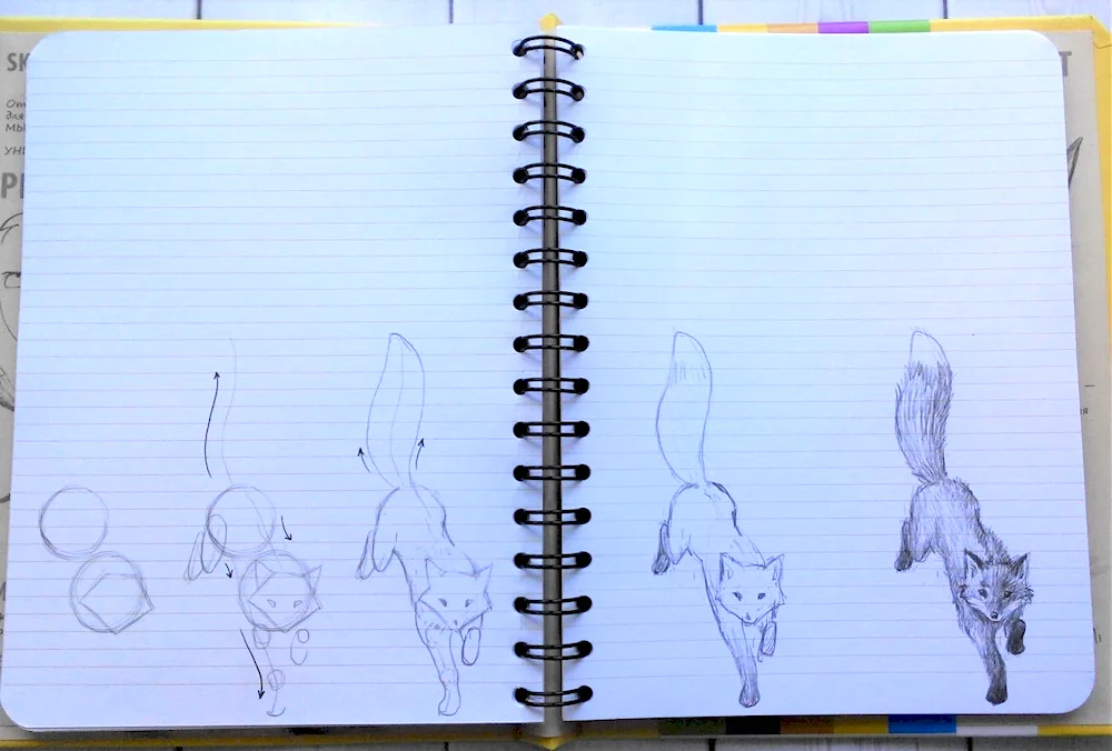 Ideas for drawing
