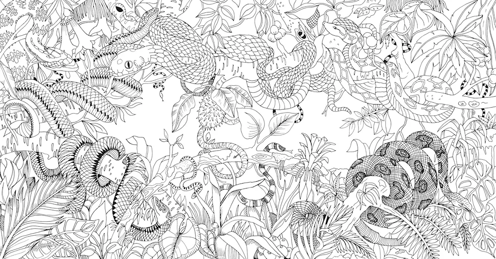 Drawings for colouring complex