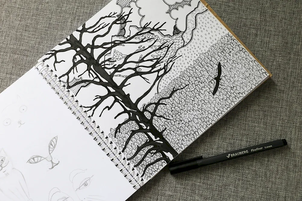 Sketchbook sketches