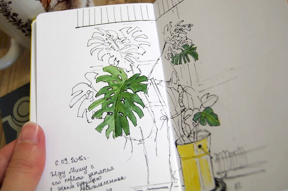 Drawings for sketchbook
