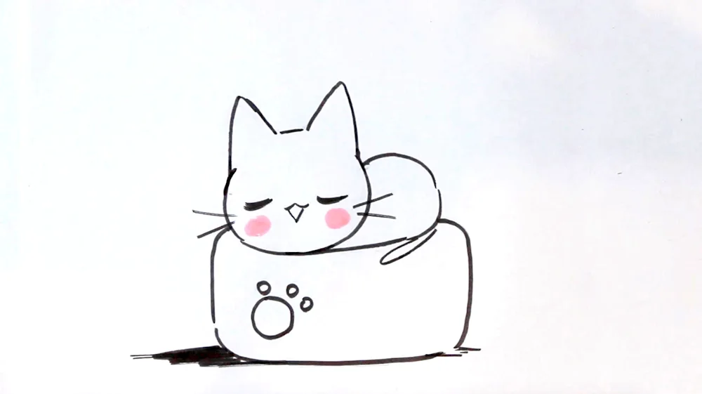 Kitty drawings