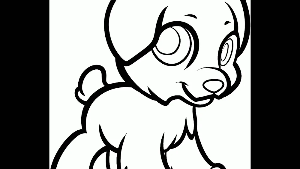 Chihuahua Terrier