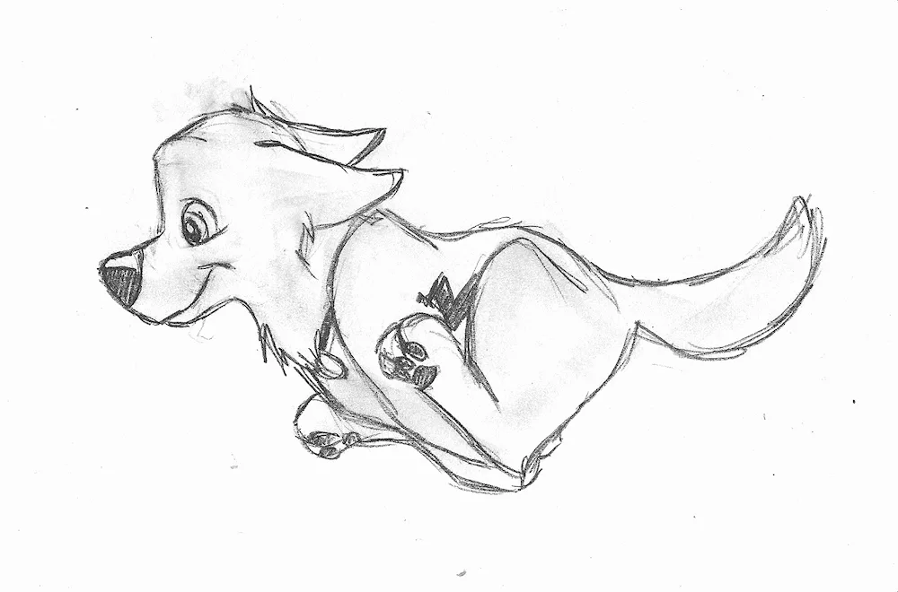 Dog pencil drawing for drawing