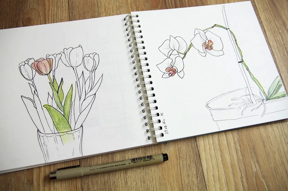 Sketchbook sketches for sketchbook