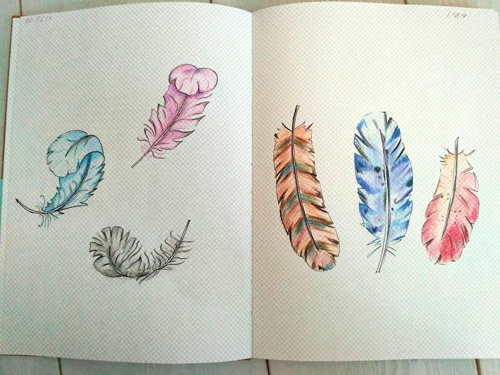 Drawings for sketchbook