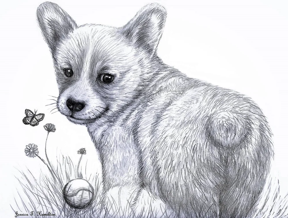 Drawing cute animals