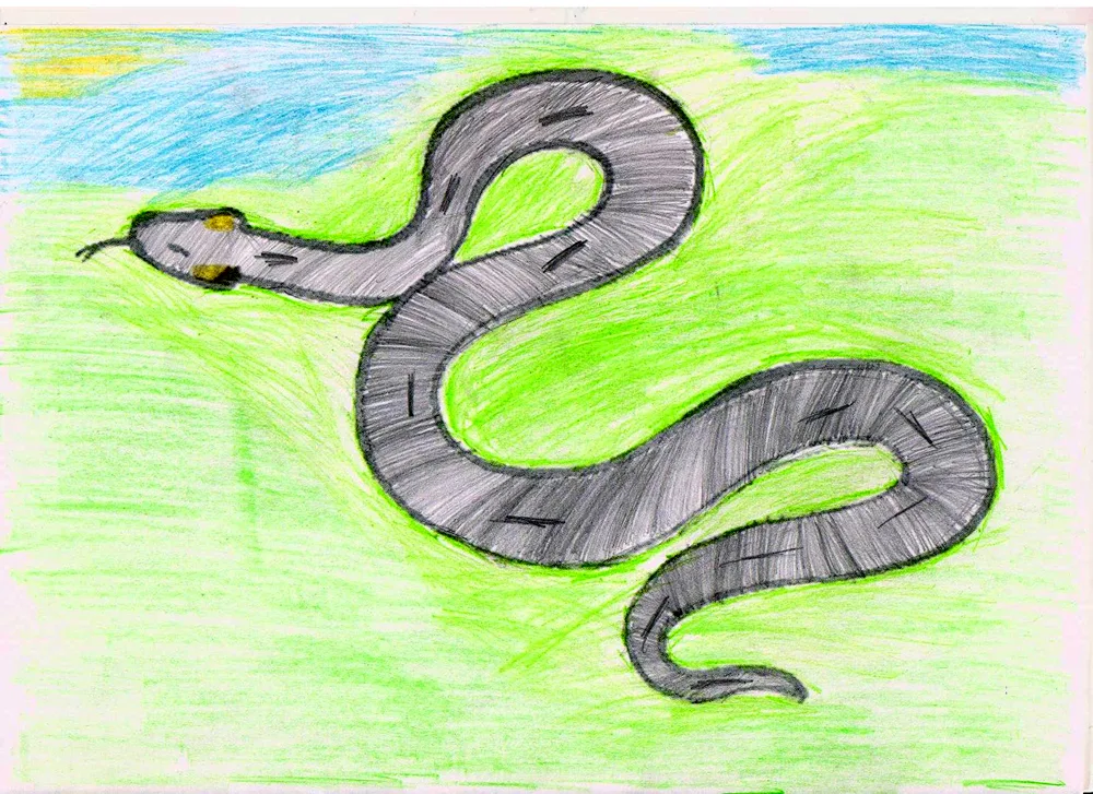 Step-by-step snake drawing