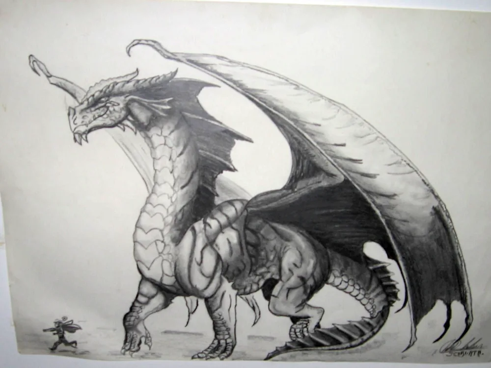 Dragon drawings