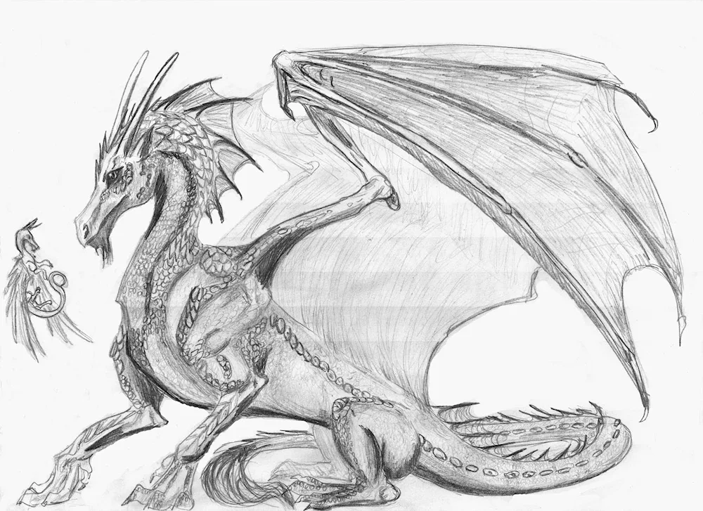 Dragon pencil drawing