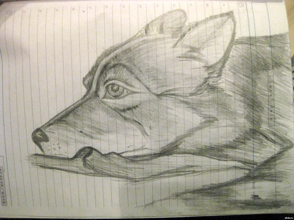 A car drawing