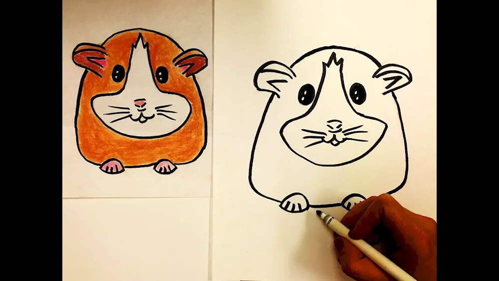 Hamster drawing for drawing