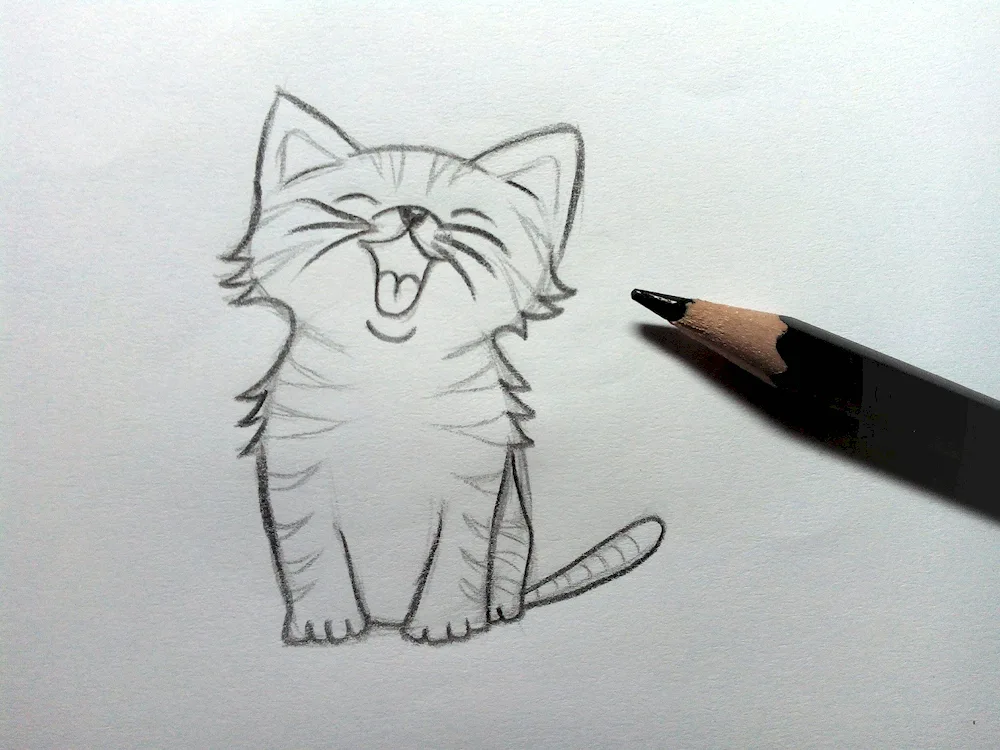 Animals in pencil