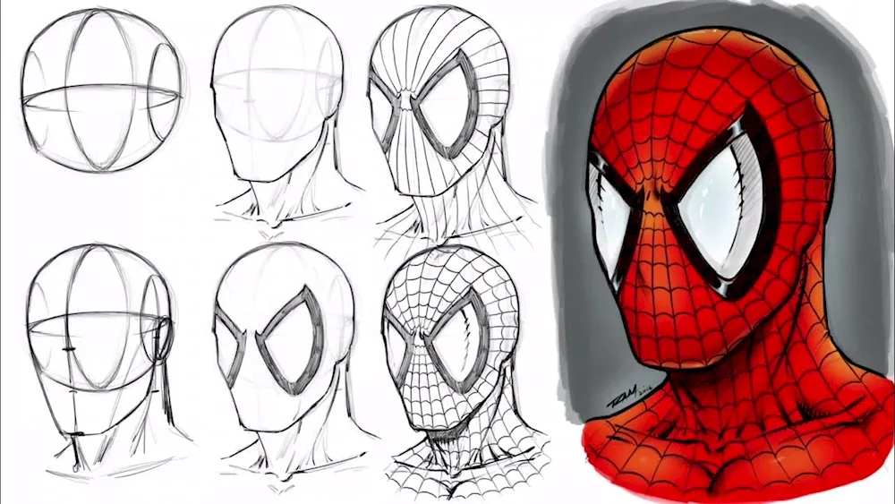 Marvel pictures for drawing spider-man