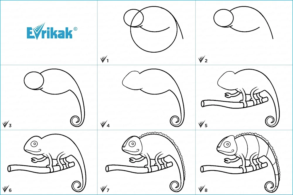 Drawing a parrot for drawing