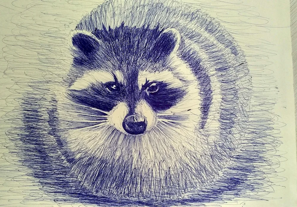 Pencil drawings