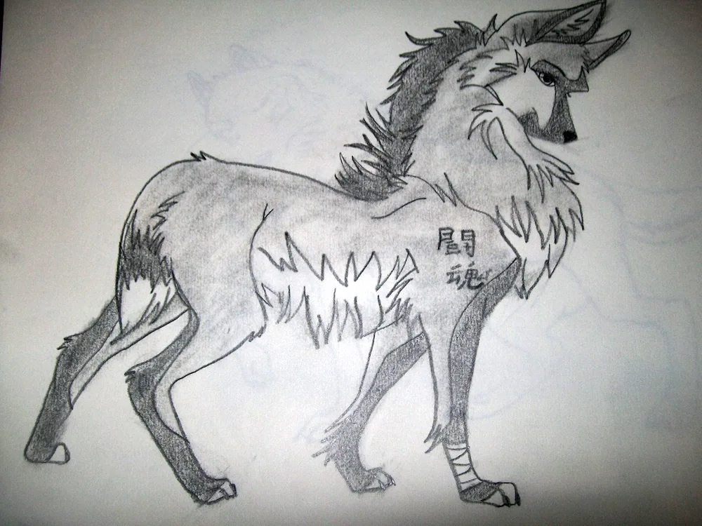 Wolf anime