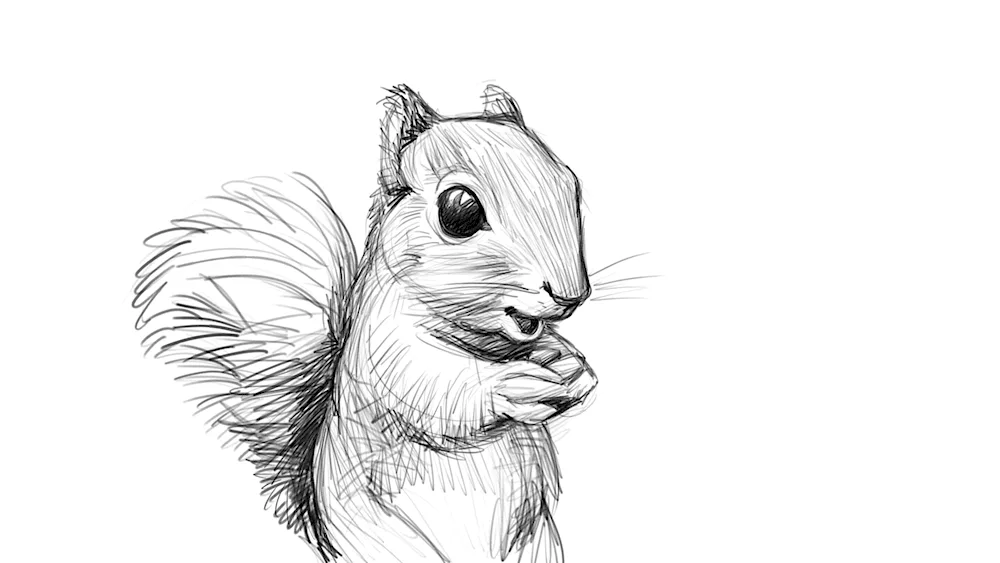 Kotik drawing