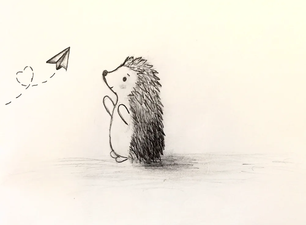 Hedgehog colouring