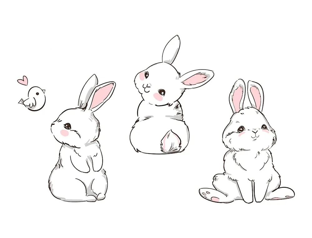 Rabbit drawing for drawing