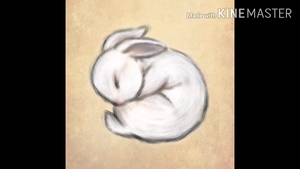 Black water rabbit symbol of 2023
