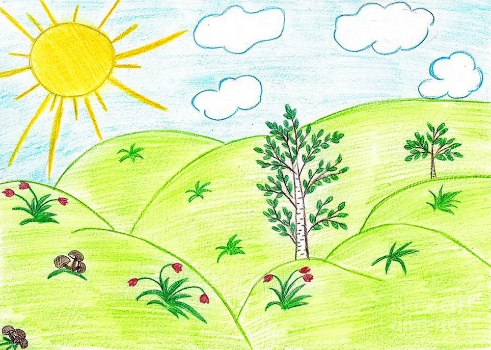 Easy Summer Drawing