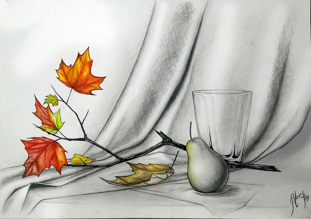 Pencil still life Yuri Kushevsky