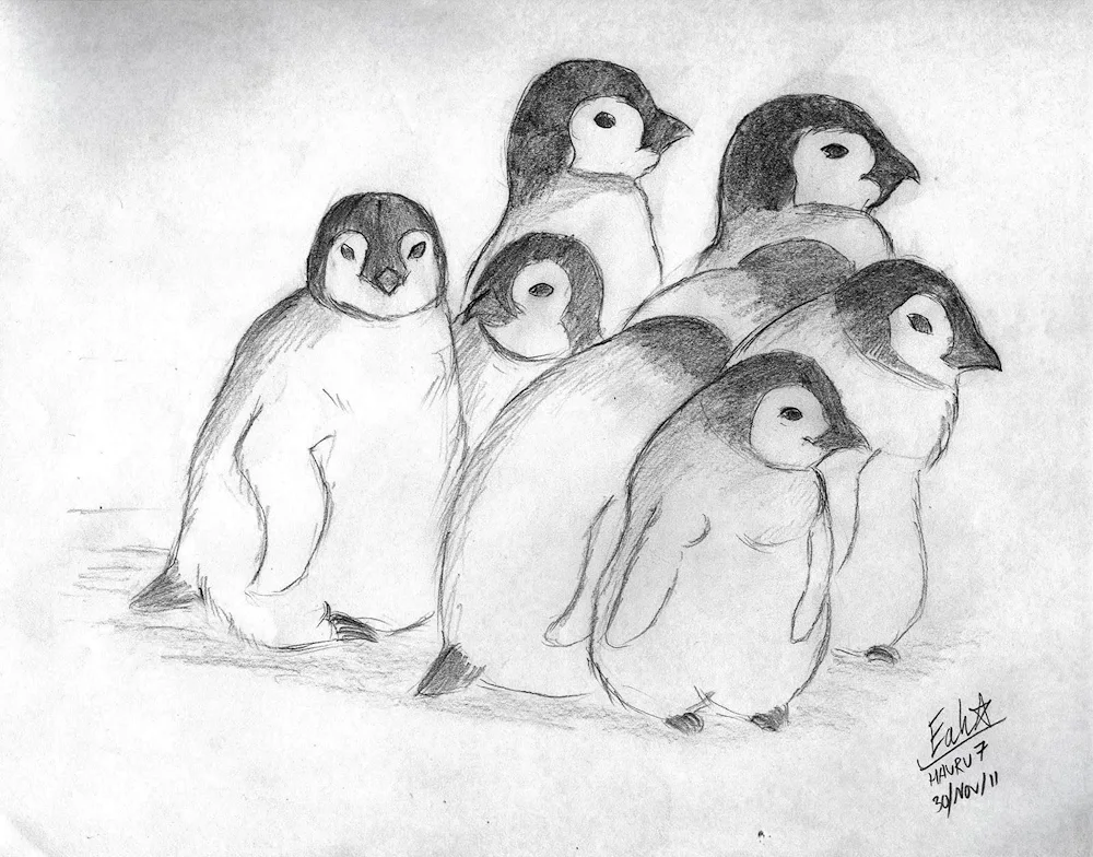 Penguin drawing