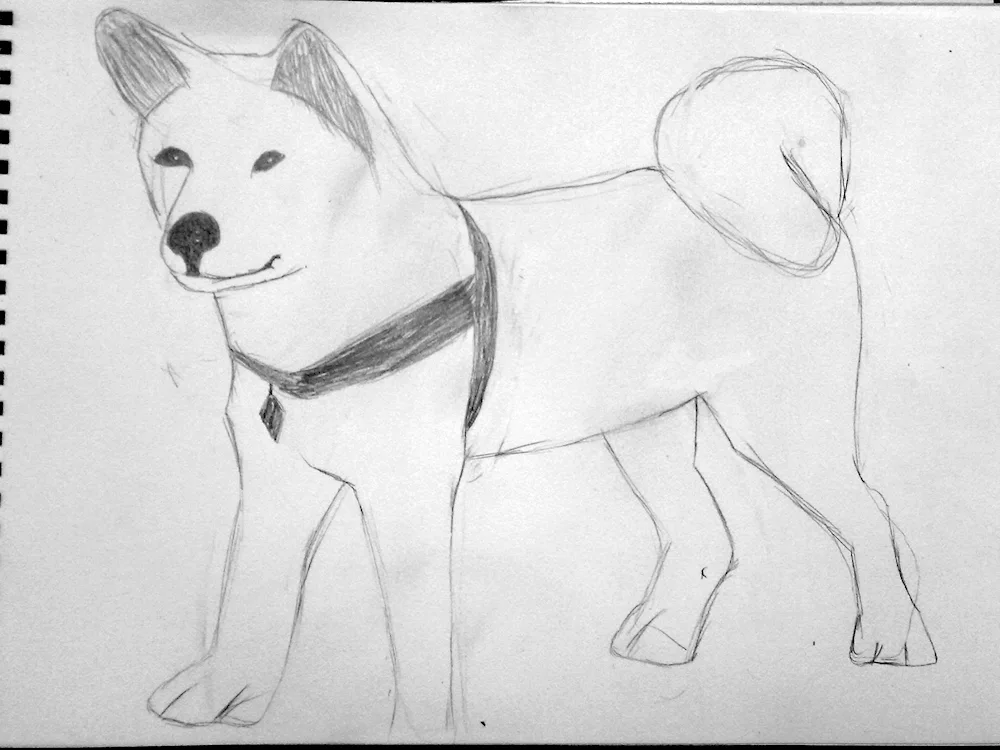 Puppy pencil drawing
