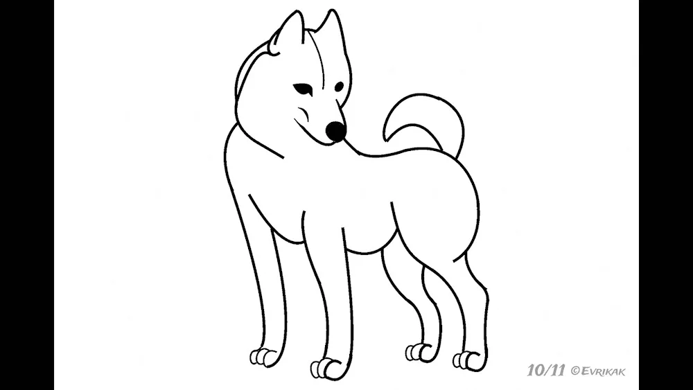 Dog pencil drawing