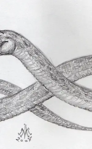 Snake drawing for drawing a snake