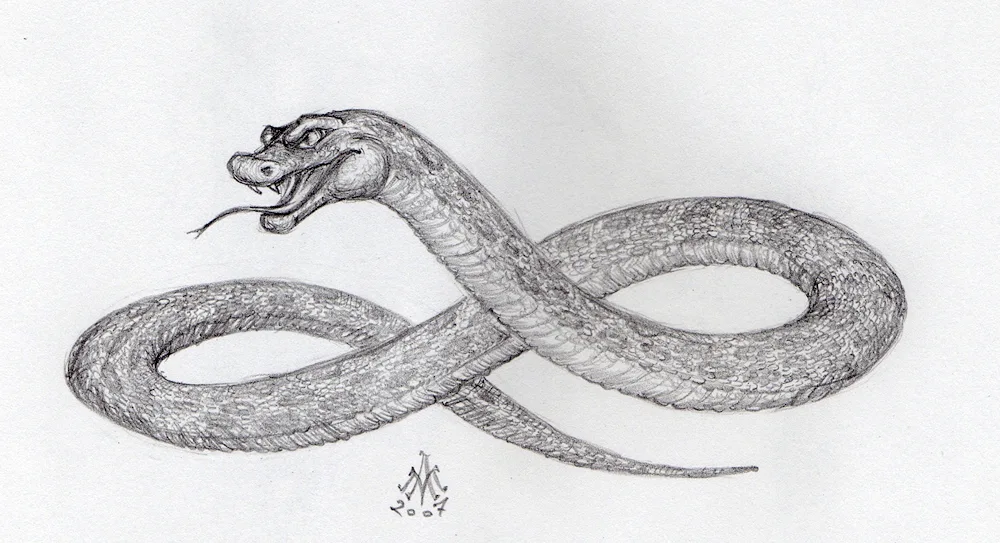 Snake drawing for drawing a snake