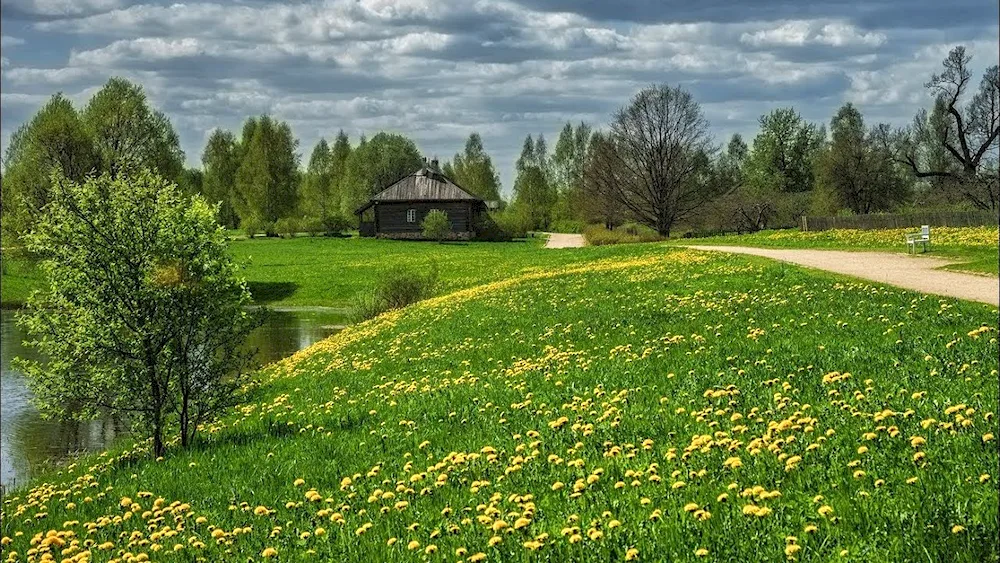 Rural landscape