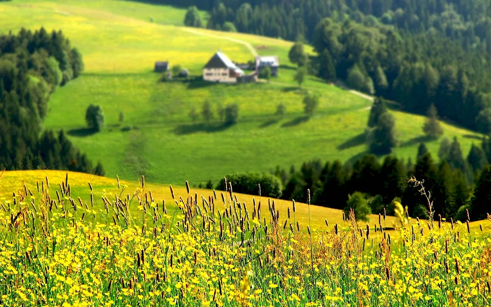 Polle village in Germany