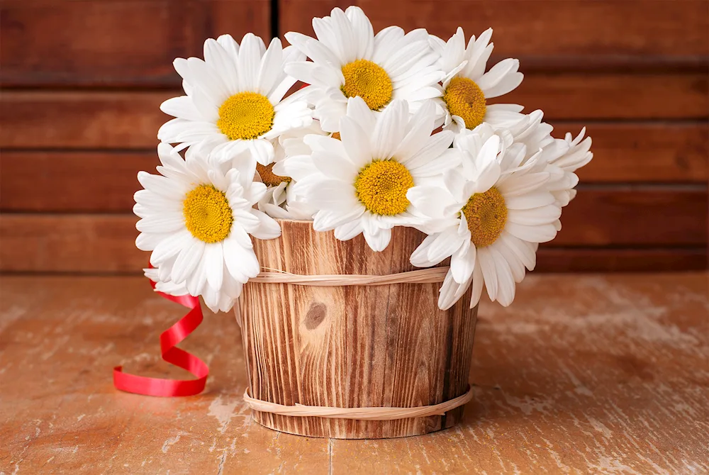 Chamomile bouquet