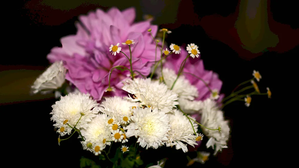 Hypsophila and chrysanthemum and roses