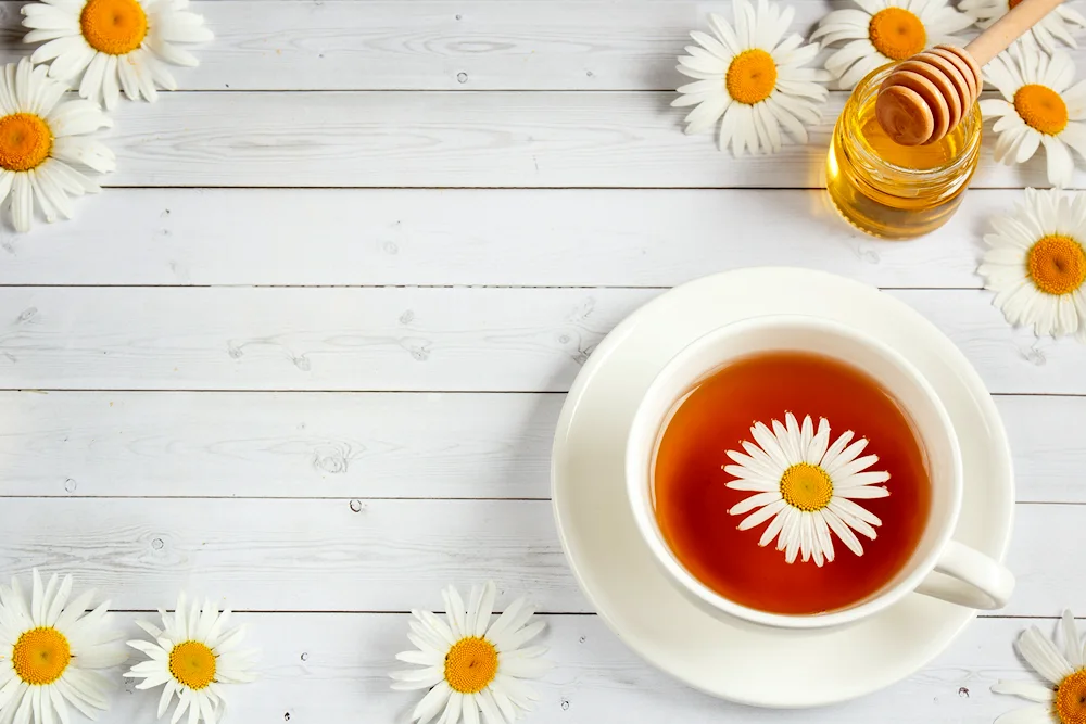 Daisies on wooden background