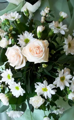 Chrysanthemums and gypsophila