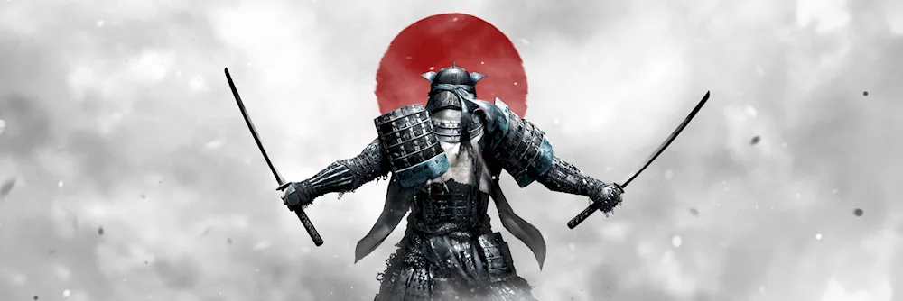 Ronin warrior