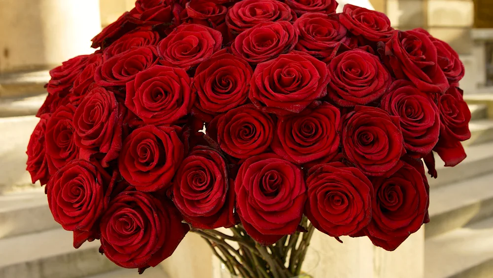 Red roses