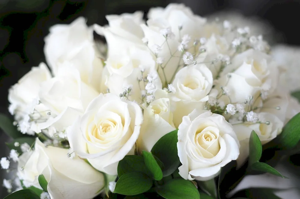 Rose bouquet. White Piano